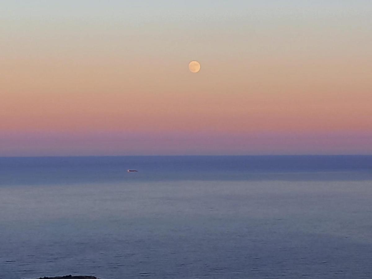 Alma De Mar Lejlighed Benidorm Eksteriør billede